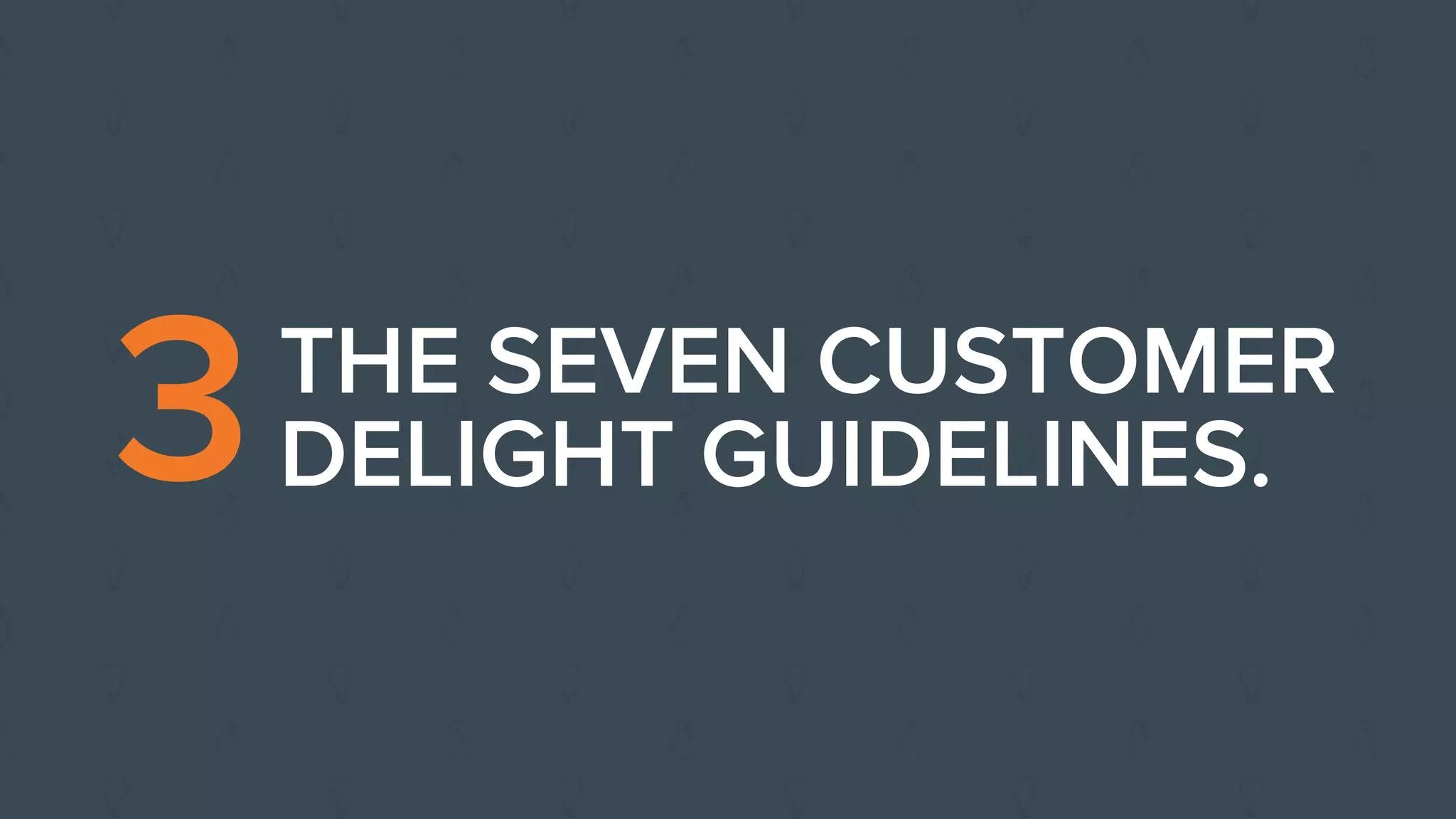 THE SEVEN CUSTOMER
DELIGHT GUIDELINES.3
 