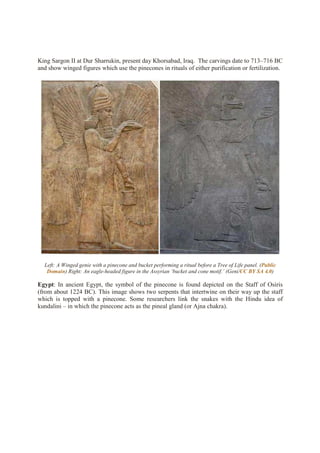 King Sargon II at Dur Sharrukin, present day Khorsabad, Iraq. The carvings date to 713–716 BC
and show winged figures which use the pinecones in rituals of either purification or fertilization.
Left: A Winged genie with a pinecone and bucket performing a ritual before a Tree of Life panel. (Public
Domain) Right: An eagle-headed figure in the Assyrian ‘bucket and cone motif.’ (Geni/CC BY SA 4.0)
Egypt: In ancient Egypt, the symbol of the pinecone is found depicted on the Staff of Osiris
(from about 1224 BC). This image shows two serpents that intertwine on their way up the staff
which is topped with a pinecone. Some researchers link the snakes with the Hindu idea of
kundalini – in which the pinecone acts as the pineal gland (or Ajna chakra).
 