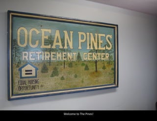 Welcome to The Pines!
 