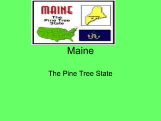 The Pine Tree State2patrick