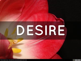 Photo by Delphine Devos - http://www.flickr.com/photos/devosdelphin/3156173138/
 