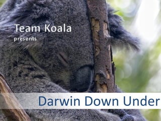 Darwin Down Under  a multimedia story 