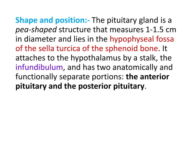 Pituitary Gland- Anatomy and Physiology | PPTX