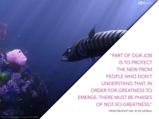 “PART OF OUR JOB 
IS TO PROTECT 
THE NEW FROM 
PEOPLE WHO DON’T 
UNDERSTAND THAT, IN 
ORDER FOR GREATNESS TO 
EMERGE, THERE MUST BE PHASES 
OF NOT-SO-GREATNESS.” 
Photo: Finding Nemo / Disney Pixar (2003) 
FROM CREATIVITY, INC. BY ED CATMULL 
 
