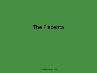 The Placenta www.freelivedoctor.com 