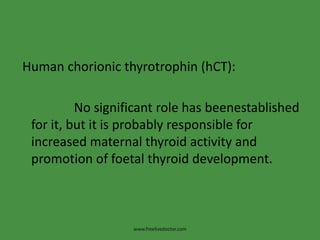 Human chorionic thyrotrophin (hCT):No significant role has beenestablishedfor it, but it is probably responsible for increased maternal thyroid activity and promotion of foetal thyroid development.www.freelivedoctor.com
