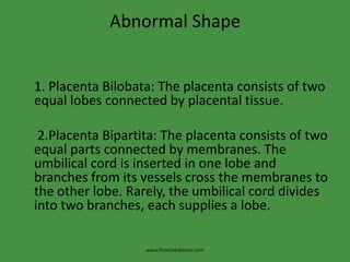 Abnormal Shape1. Placenta Bilobata: The placenta consists of two equal lobes connected by placental tissue. 2.Placenta Bipartita: The placenta consists of two equal parts connected by membranes. The umbilical cord is inserted in one lobe and branches from its vessels cross the membranes to the other lobe. Rarely, the umbilical cord divides into two branches, each supplies a lobe.www.freelivedoctor.com
