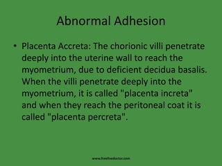 Abnormal AdhesionPlacenta Accreta: The chorionic villi penetrate deeply into the uterine wall to reach the myometrium, due to deficient deciduabasalis. When the villi penetrate deeply into the myometrium, it is called "placenta increta" and when they reach the peritoneal coat it is called "placenta percreta".www.freelivedoctor.com