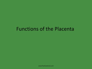 Functions of the Placentawww.freelivedoctor.com
