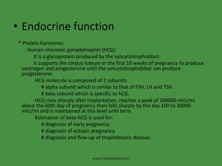 Endocrine function    * Protein hormones:Human chorionic gonadotrophin (hCG):It is a glycoprotein produced by the syncytiotrophoblast.It supports the corpus luteum in the first 10 weeks of pregnancy to produce oestrogen and progesterone until the syncytiotrophoblast can produce progesterone.HCG molecule is composed of 2 subunits:                      # alpha subunit which is similar to that of FSH, LH and TSH.                      # beta subunit which is specific to hCG.HCG rises sharply after implantation, reaches a peak of 100000 mIU/ml about the 60th day of pregnancy then falls sharply by the day 100 to 30000 mIU/ml and is maintained at this level until term.Estimation of beta-hCG is used for:                      # diagnosis of early pregnancy.                      # diagnosis of ectopic pregnancy.                      # diagnosis and flow-up of trophoblastic disease.www.freelivedoctor.com