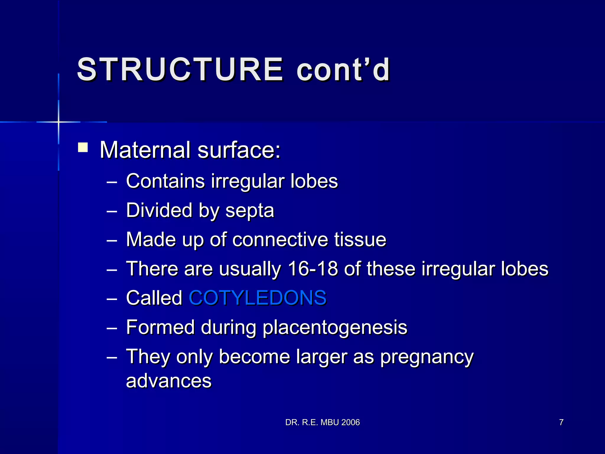 DR. R.E. MBU 2006DR. R.E. MBU 2006 77
STRUCTURE cont’dSTRUCTURE cont’d
 Maternal surface:Maternal surface:
– Contains irregular lobesContains irregular lobes
– Divided by septaDivided by septa
– Made up of connective tissueMade up of connective tissue
– There are usually 16-18 of these irregular lobesThere are usually 16-18 of these irregular lobes
– CalledCalled COTYLEDONSCOTYLEDONS
– Formed during placentogenesisFormed during placentogenesis
– They only become larger as pregnancyThey only become larger as pregnancy
advancesadvances
 