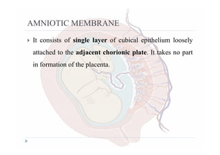 THE PLACENTA, FETAL MEMBRANES AND AMNIOTIC FLUID.pdf