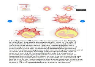 THE PLACENTA, FETAL MEMBRANES AND AMNIOTIC FLUID.pdf
