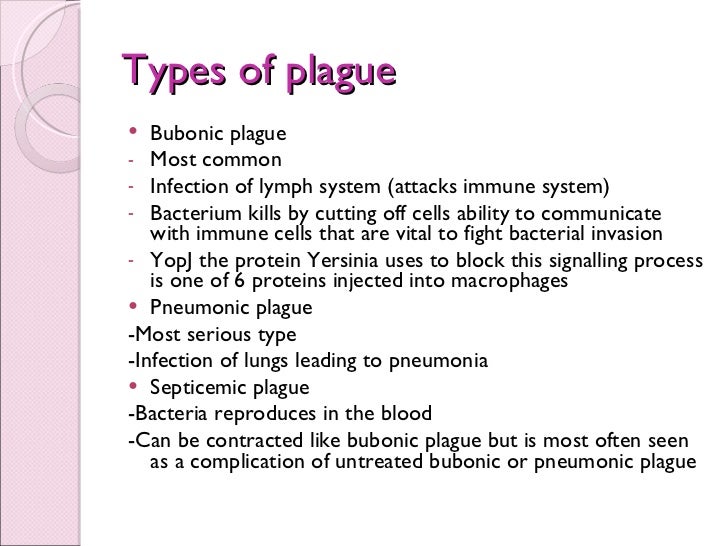 The plague