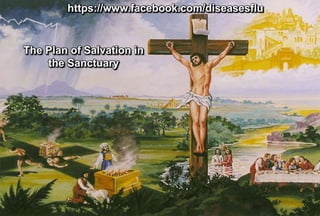 The Plan of Salvation in
the Sanctuary
https://www.facebook.com/diseasesflu
 