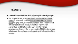 The Plan of the Human Face in orthodontics .pptx