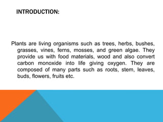 INTRODUCTION:
Plants are living organisms such as trees, herbs, bushes,
grasses, vines, ferns, mosses, and green algae. They
provide us with food materials, wood and also convert
carbon monoxide into life giving oxygen. They are
composed of many parts such as roots, stem, leaves,
buds, flowers, fruits etc.
 