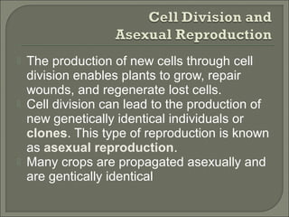  The production of new cells through cell
division enables plants to grow, repair
wounds, and regenerate lost cells.
 Cell division can lead to the production of
new genetically identical individuals or
clones. This type of reproduction is known
as asexual reproduction.
 Many crops are propagated asexually and
are gentically identical
 