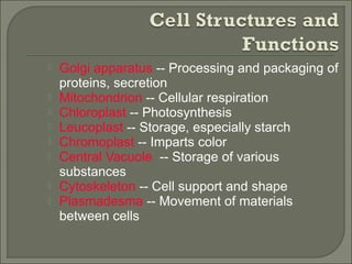 Golgi apparatus -- Processing and packaging of
proteins, secretion
 Mitochondrion -- Cellular respiration
 Chloroplast -- Photosynthesis
 Leucoplast -- Storage, especially starch
 Chromoplast -- Imparts color
 Central Vacuole -- Storage of various
substances
 Cytoskeleton -- Cell support and shape
 Plasmadesma -- Movement of materials
between cells
 