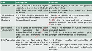 Part Description Function
Central Vacuole The central vacuole is the largest
organelle in the cell that is filled with
fluid, ions, enzymes, and other
molecules.
1. Maintain turgidity of the cell that prevents
plants from wilting.
2. Store of reserve food, water, and waste
materials of the cell.
Cell Membrane
or Plasma
Membrane
It is a thin, biological membrane that
separates the interior of the cell from
the outside environment.
1.Protect the cell from the outside environment.
2. Maintain the shape of the cell
3. Regulate the entry and exit of nutrients,
essential minerals, and toxic waste products
within the cell.
Endoplasmic
Reticulum (ER)
It is a series of membranes within
the cytoplasm that forms
connections with the nucleus on one
side and cell membrane on the
other.
1. Help in the formation of nuclear membrane
during cell division.
2. Produce trans-membrane proteins, lipids,
glycogen and other steroids like cholesterol.
Golgi Apparatus Also known as Golgi body or Golgi
complex, they are stacks of five to
eight membrane-covered sacs called
cisternae.
1. Synthesize complex polysaccharides of
the cell wall.
2. Process, package. transport, and secret the
proteins produced in the rough endoplasmic
reticulum.
M
d
.
I
m
r
a
n
N
u
r
M
a
n
i
k
 
