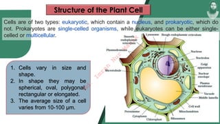 Cells are of two types: eukaryotic, which contain a nucleus, and prokaryotic, which do
not. Prokaryotes are single-celled organisms, while eukaryotes can be either single-
celled or multicellular.
Structure of the Plant Cell
1. Cells vary in size and
shape.
2. In shape they may be
spherical, oval, polygonal,
rectangular or elongated.
3. The average size of a cell
varies from 10-100 µm.
M
d
.
I
m
r
a
n
N
u
r
M
a
n
i
k
 