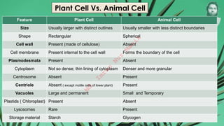 Feature Plant Cell Animal Cell
Size Usually larger with distinct outlines Usually smaller with less distinct boundaries
Shape Rectangular Spherical
Cell wall Present (made of cellulose) Absent
Cell membrane Present internal to the cell wall Forms the boundary of the cell
Plasmodesmata Present Absent
Cytoplasm Not so dense; thin lining of cytoplasm Denser and more granular
Centrosome Absent Present
Centriole Absent ( except motile cells of lower plant) Present
Vacuoles Large and permanent Small and Temporary
Plastids ( Chloroplast) Present Absent
Lysosomes Rare Present
Storage material Starch Glycogen
Plant Cell Vs. Animal Cell
M
d
.
I
m
r
a
n
N
u
r
M
a
n
i
k
 