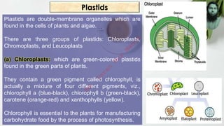 Plastids
Plastids are double-membrane organelles which are
found in the cells of plants and algae.
There are three groups of plastids: Chloroplasts,
Chromoplasts, and Leucoplasts
(a) Chloroplasts: which are green-colored plastids
found in the green parts of plants.
They contain a green pigment called chlorophyll, is
actually a mixture of four different pigments, viz.,
chlorophyll a (blue-black), chlorophyll b (green-black),
carotene (orange-red) and xanthophylls (yellow).
Chlorophyll is essential to the plants for manufacturing
carbohydrate food by the process of photosynthesis.
M
d
.
I
m
r
a
n
N
u
r
M
a
n
i
k
 