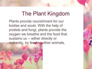 The Plant Kingdom
Plants provide nourishment for our
bodies and souls. With the help of
protists and fungi, plants provide the
oxygen we breathe and the food that
sustains us -- either directly or
indirectly, by feeding other animals.
 
