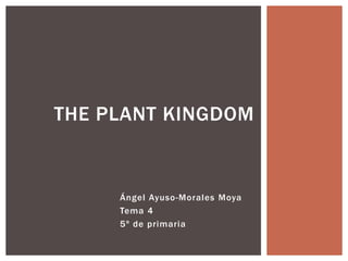 Ángel Ayuso-Morales Moya
Tema 4
5º de primaria
THE PLANT KINGDOM
 