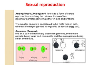 Sexual reproduction
 