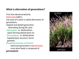 First time demonstrated by
Hofmeister(1851)
Life cycle of a plant is called alternation of
generations.
Haploid and diploid generation
alternating during life cycle
-Sporophyte ie. Multicellular ,
spore forming diploid plant str.
-Gametophyte ie. Multicellular
haploid plant structure, forms
gametes.
What is alternation of generations?
Bryophytes(mosses and ferns)
- dominant generation-haploid phase
- main plant body is composed of
gametophyte
 