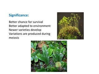 Better chance for survival
Better adapted to environment
Newer varieties develop
Variations are produced during
meiosis
Significance:
 