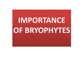 IMPORTANCE
OF BRYOPHYTES
 