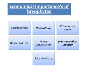 Economical Importance's of
bryophytes
Source of fuel Horticulture,
Preservative
agent
Household Uses
House
Construction
pharmaceutical
industry
Moss industry
 