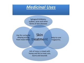 Skin
treatment
Sphagnol’chilblains,
scabies, acne and other
forms of skin diseases
Help to cure
ringworms.
Ash of moss is mixed with
honey and fat to treat cuts,
burns and wounds
Use for curing for
allaying arising
from insect bites.
Medicinal Uses
 