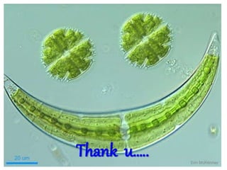Thank u…..
 