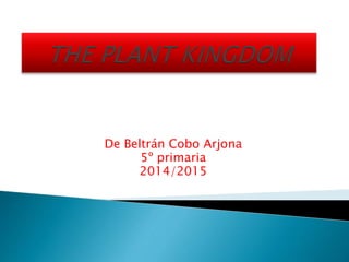 De Beltrán Cobo Arjona
5º primaria
2014/2015
 