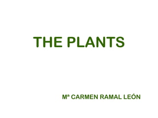 THE PLANTS Mª CARMEN RAMAL LEÓN 