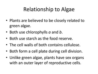 Relationship to Algae
• Plants are believed to be closely related to
green algae.
• Both use chlorophylls a and b.
• Both use starch as the food reserve.
• The cell walls of both contains cellulose.
• Both form a cell plate during cell division.
• Unlike green algae, plants have sex organs
with an outer layer of reproductive cells.
 