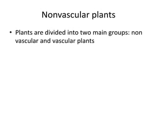 Nonvascular plants
• Plants are divided into two main groups: non
vascular and vascular plants
 