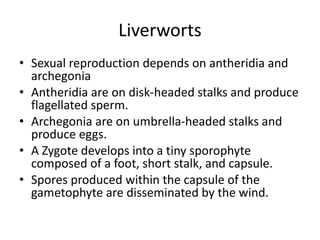 Liverworts
• Sexual reproduction depends on antheridia and
archegonia
• Antheridia are on disk-headed stalks and produce
flagellated sperm.
• Archegonia are on umbrella-headed stalks and
produce eggs.
• A Zygote develops into a tiny sporophyte
composed of a foot, short stalk, and capsule.
• Spores produced within the capsule of the
gametophyte are disseminated by the wind.
 