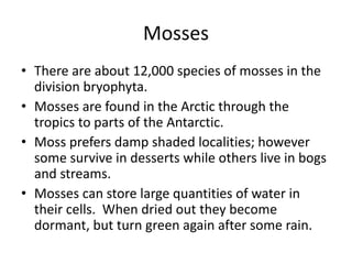 Mosses
• There are about 12,000 species of mosses in the
division bryophyta.
• Mosses are found in the Arctic through the
tropics to parts of the Antarctic.
• Moss prefers damp shaded localities; however
some survive in desserts while others live in bogs
and streams.
• Mosses can store large quantities of water in
their cells. When dried out they become
dormant, but turn green again after some rain.
 