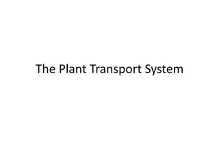 The Plant Transport System
 