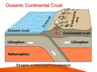 Oceanic Continental Crust
 