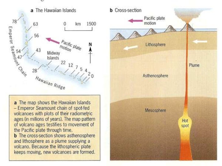 The plate v plume theory