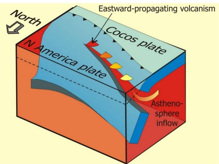 The plate v plume theory