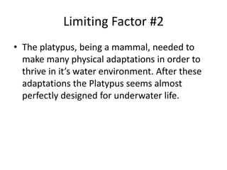 Limiting Factor #2
• The platypus, being a mammal, needed to
  make many physical adaptations in order to
  thrive in it’s water environment. After these
  adaptations the Platypus seems almost
  perfectly designed for underwater life.
 