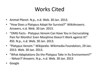 Works Cited
• Animal Planet. N.p., n.d. Web. 30 Jan. 2013.
• "How Does a Platypus Adapt for Survival?" WikiAnswers.
  Answers, n.d. Web. 30 Jan. 2013.
• "OMG Facts - Platypus Venom Can Have You in Excruciating
  Pain for Months! Even Morphine Doesn't Work against It!"
  RSS. N.p., n.d. Web. 30 Jan. 2013.
• "Platypus Venom." Wikipedia. Wikimedia Foundation, 29 Jan.
  2013. Web. 30 Jan. 2013.
• "What Adaptations Do the Platypus Take in Its Environment?"
  - Yahoo!7 Answers. N.p., n.d. Web. 30 Jan. 2013
• Google
 