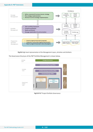 The PM² Methodology Guide v3.0 A - 110
Appendix D: PM² Extensions
Fig D.8 High-level representation of the Management Layers, Activities and Artefacts
The Governance Structure of the PM² Portfolio Management is shown below.
Fig D.9 PM² Project Portfolio Governance
 