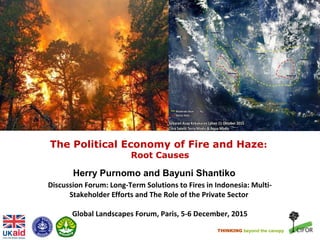THINKING beyond the canopy
The Political Economy of Fire and Haze:
Root Causes
Herry Purnomo and Bayuni Shantiko
Discussion Forum: Long-Term Solutions to Fires in Indonesia: Multi-
Stakeholder Efforts and The Role of the Private Sector
Global Landscapes Forum, Paris, 5-6 December, 2015
 